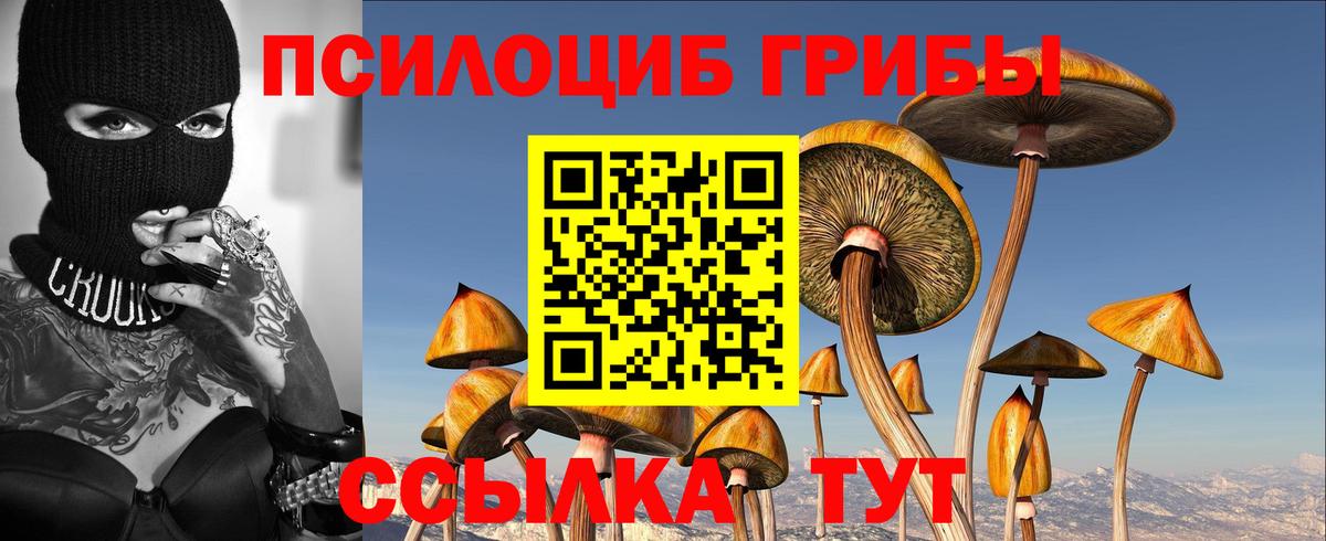 Галлюциногенные грибы MAGIC MUSHROOMS Лосино-Петровский
