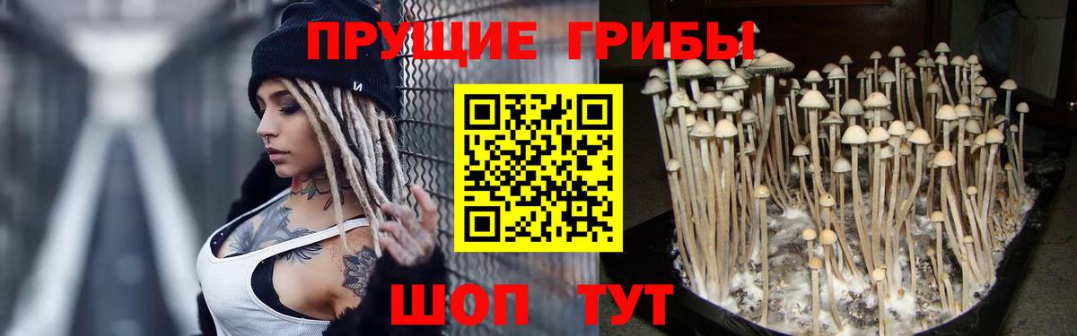 закладки  Вход с VPN  Псилоцибиновые грибы Magic Shrooms  Лосино-Петровский  Псилоцибиновые грибы мицелий 